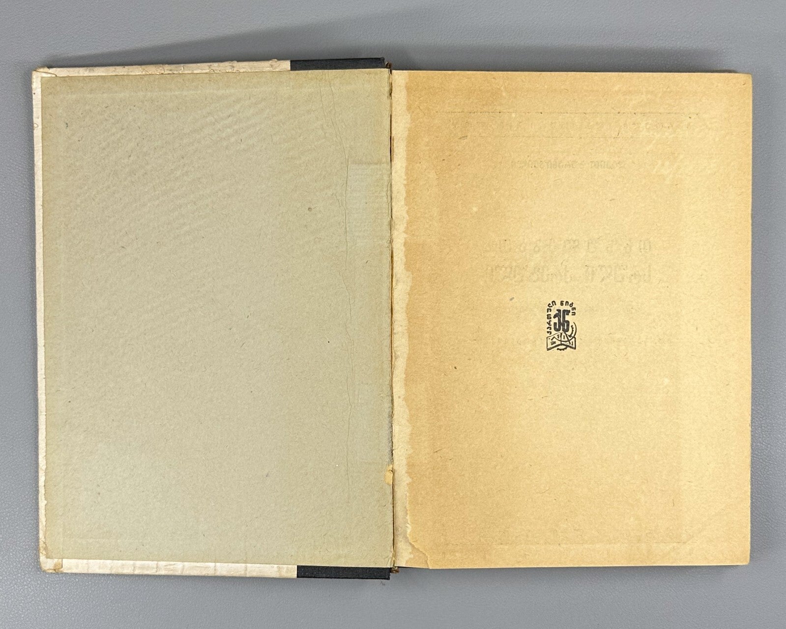 Davitiani David Guramishvili 1931 Georgian literature დავითიანი
