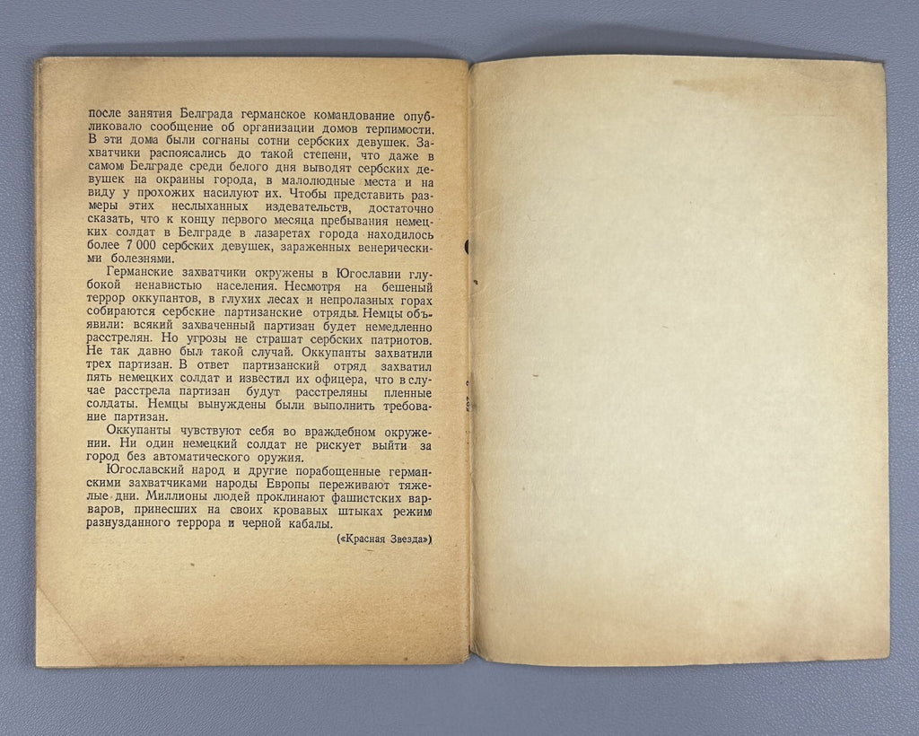 Occupied countries fascist yoke 1941 Оккупированные страны под фашистским ярмом
