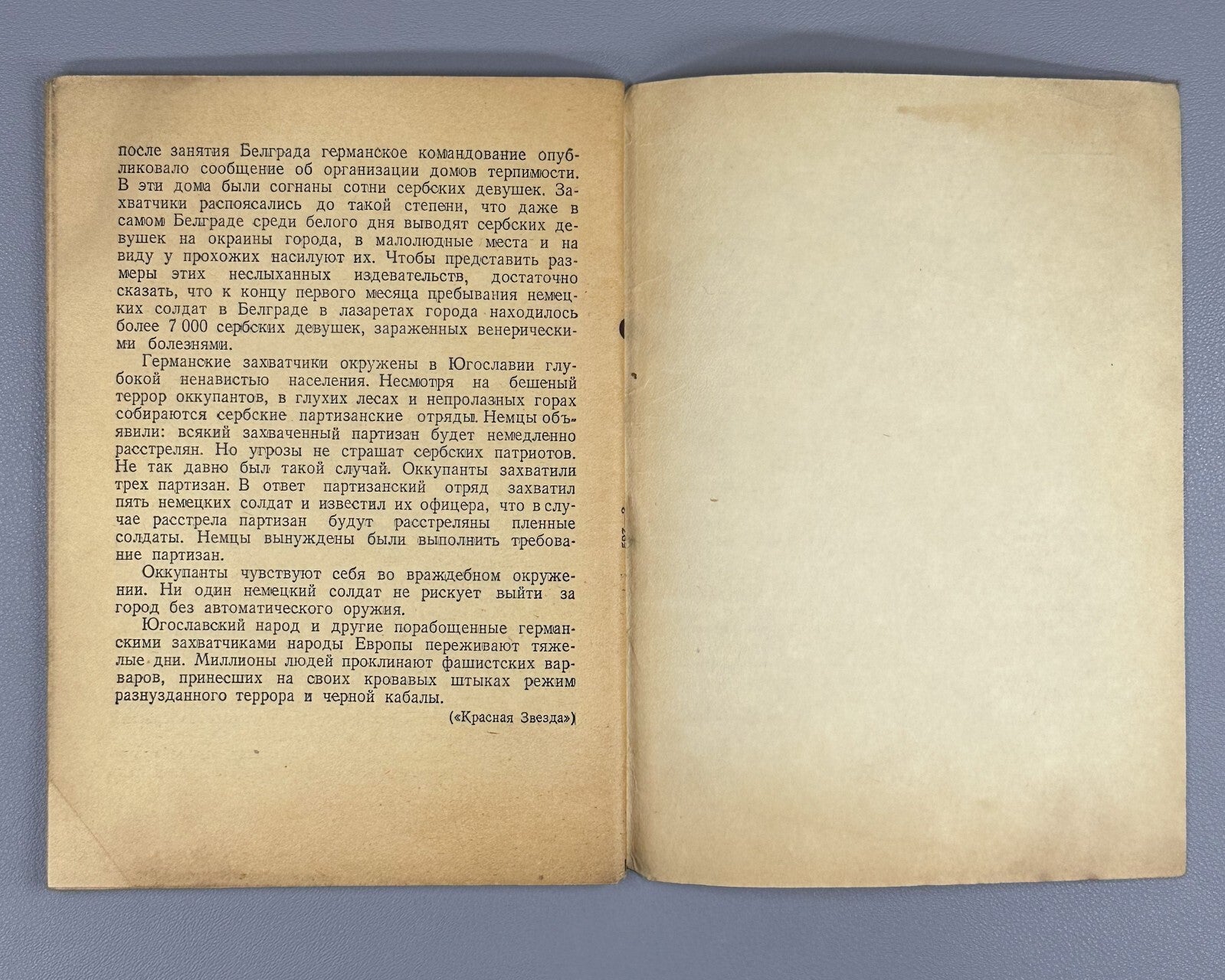 Occupied countries fascist yoke 1941 Оккупированные страны под фашистским ярмом