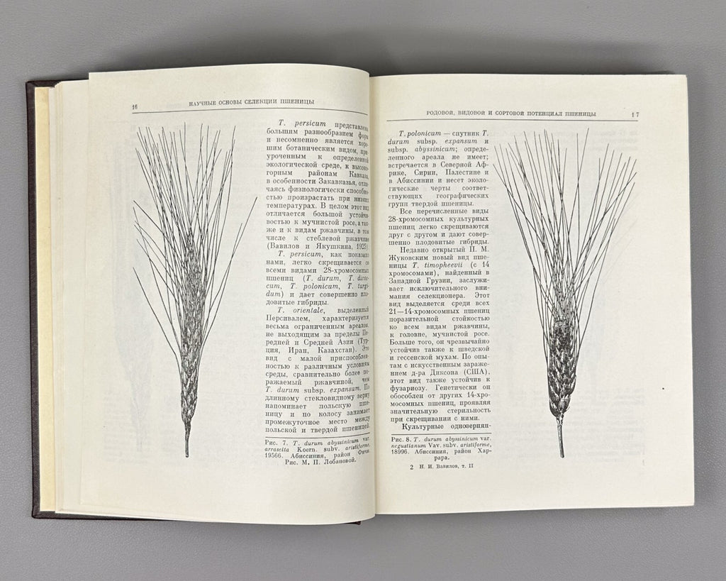Вавилов Избранные произведения Классики науки 1967 Vavilov Works geneticist Rare