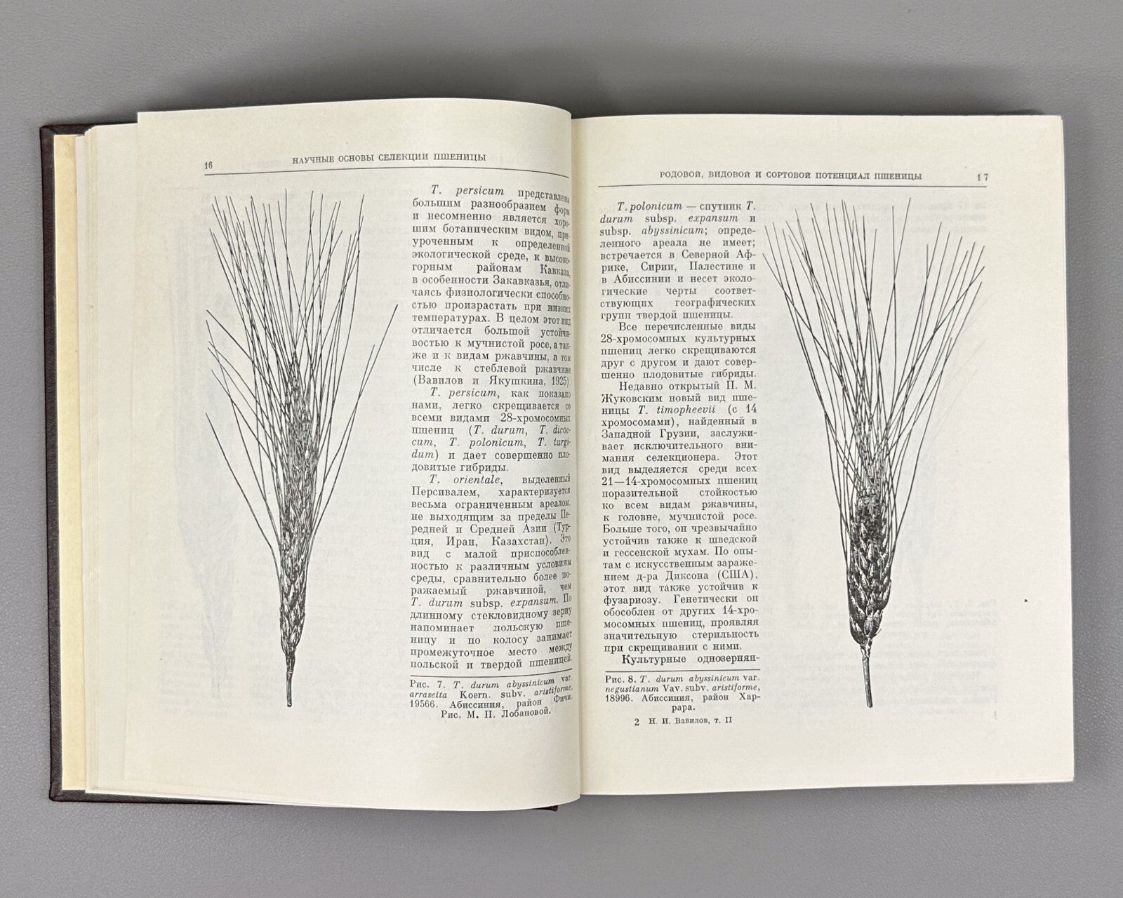 Вавилов Избранные произведения Классики науки 1967 Vavilov Works geneticist Rare