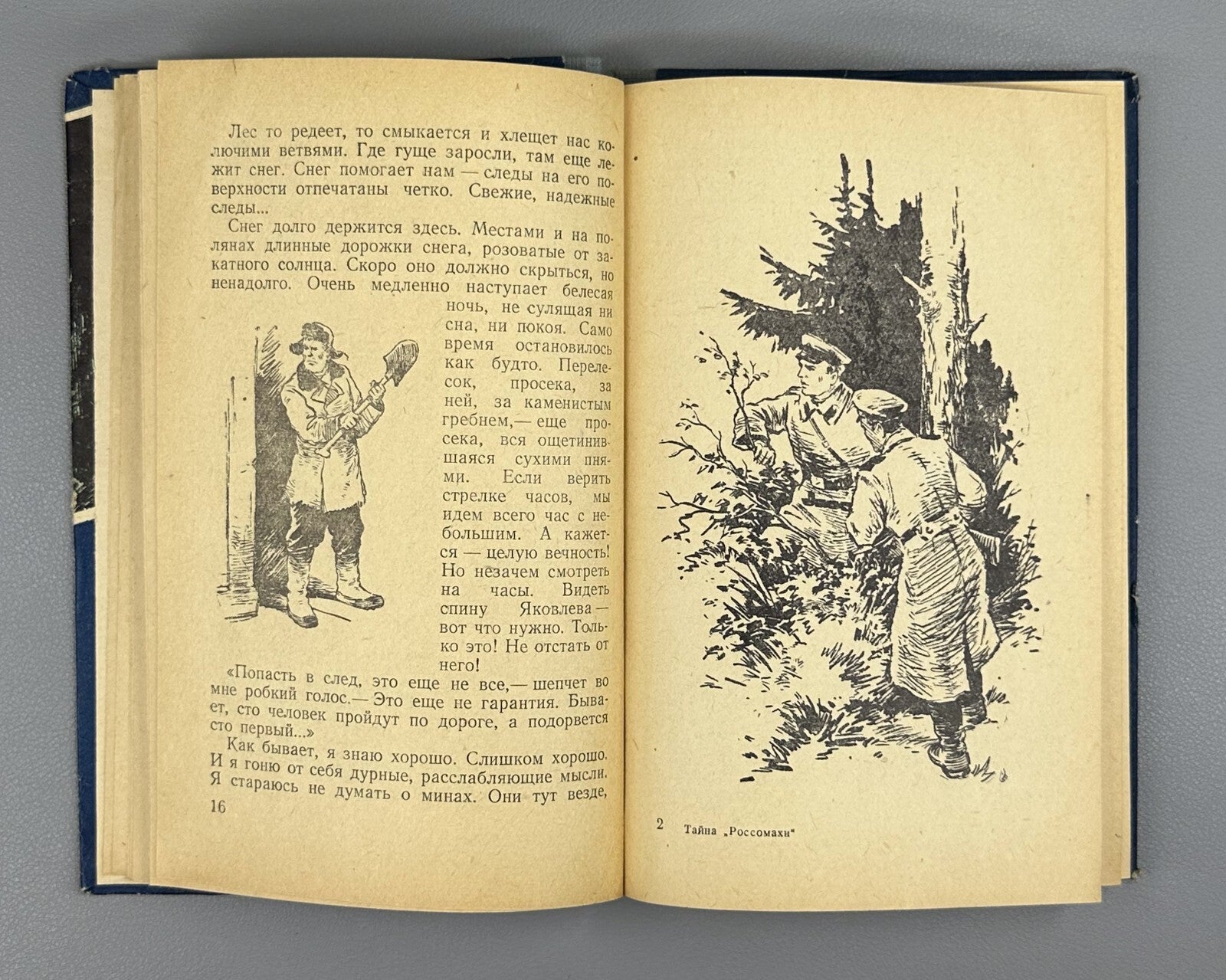 1st ed. The Secret of the Wolverine Druzhinin 1957 Дружинин Тайна Россомахи БВП