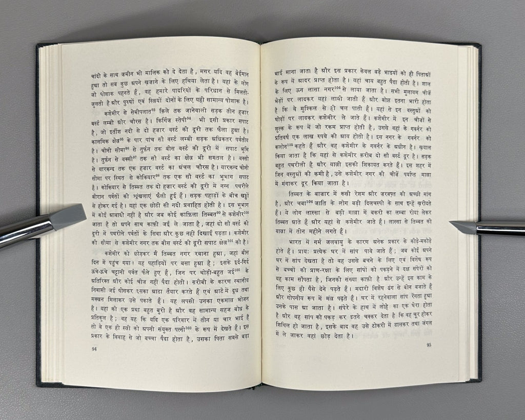 Danibegashvili's Journey to India Hindi 1969 Путешествие Рафаила Данибегашвили