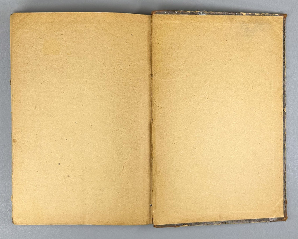 Mnatobi 1925 Monthly Artistic-Literary and Scientific Journal. No. 8-9 Georgian