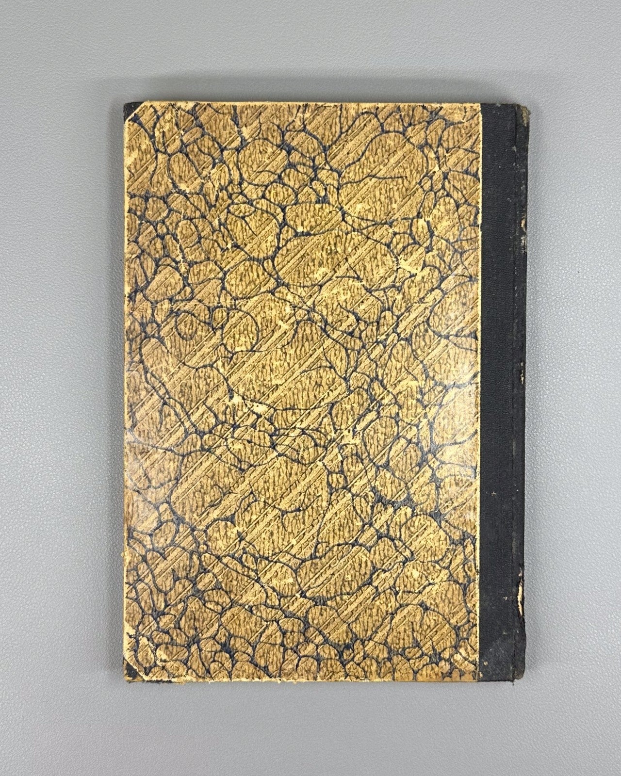 1st ed Rus Ziehen Physiological Psychology 1893 Циген Физиологическая психология