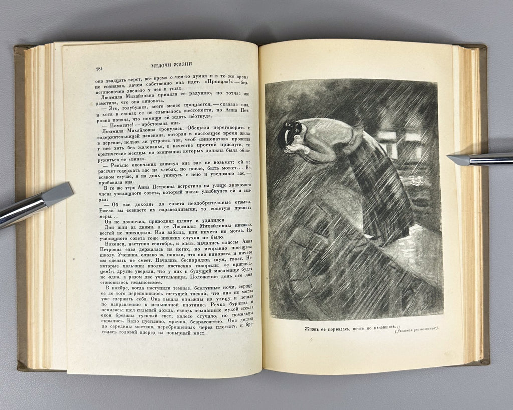 Shchedrin The Little Things in Life 1939 Щедрин Салтыков-Щедрин Мелочи жизни