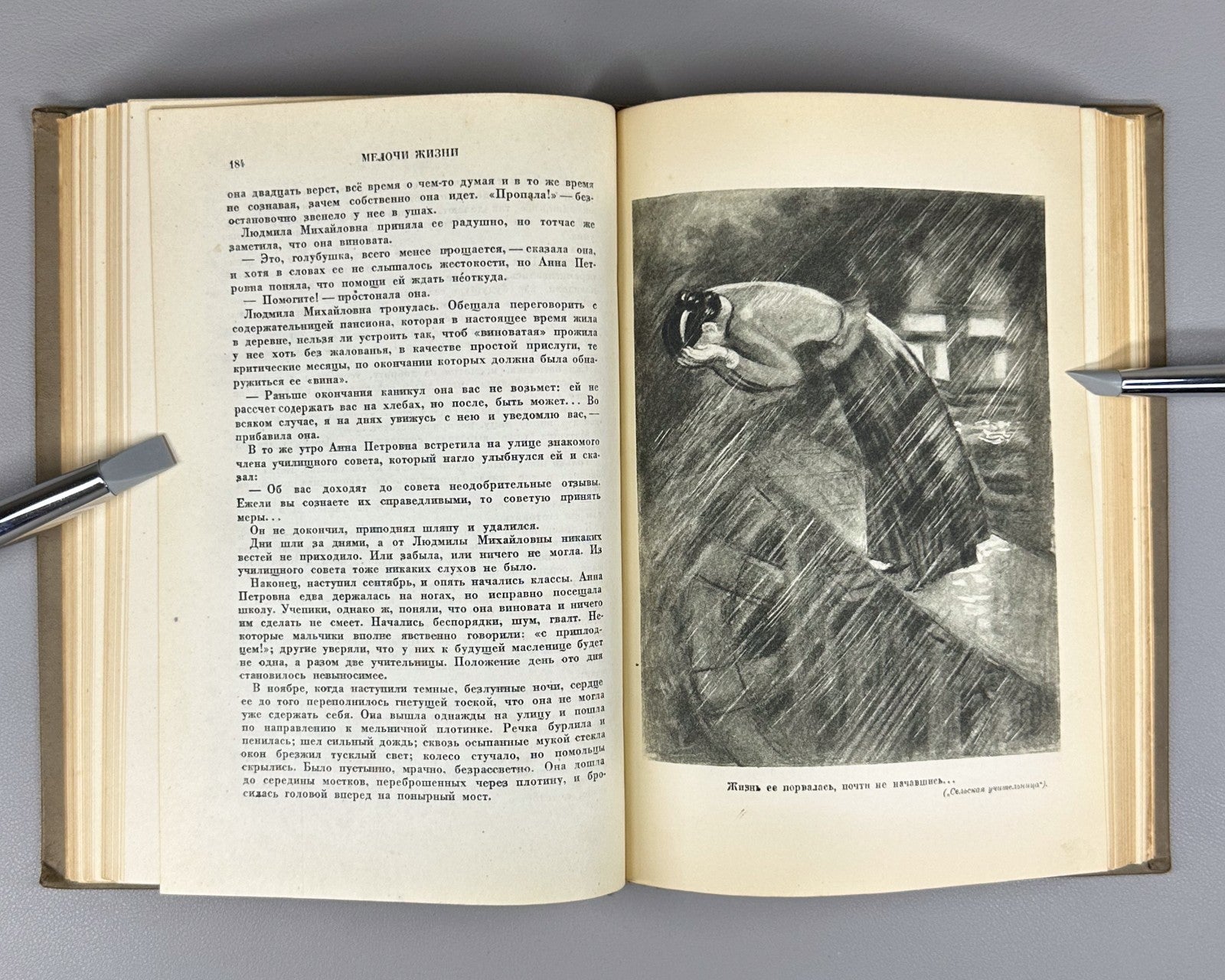 Shchedrin The Little Things in Life 1939 Щедрин Салтыков-Щедрин Мелочи жизни