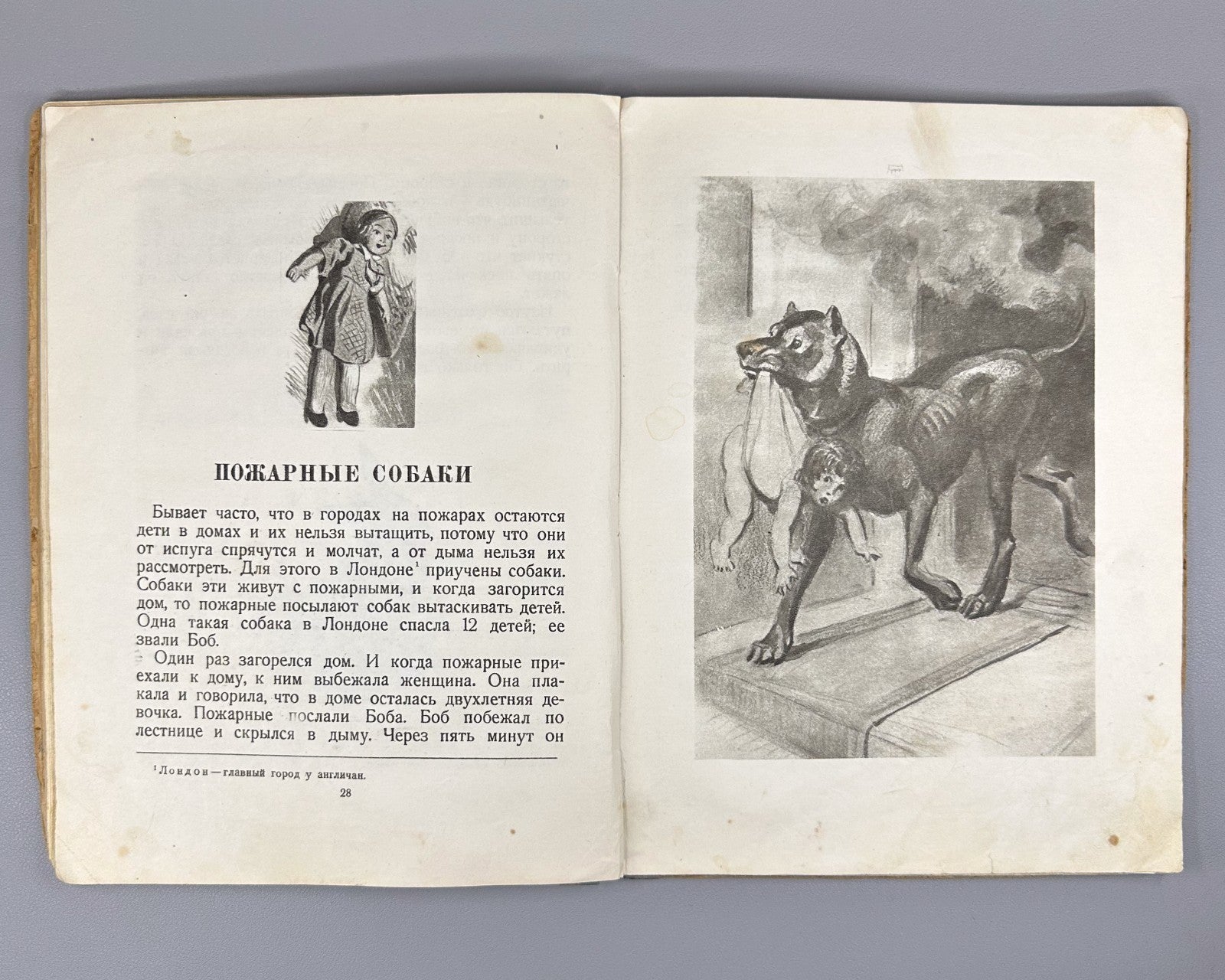 Толстой Рассказы о животных Ватагина 1936 Tolstoy Stories about Animals Vatagin
