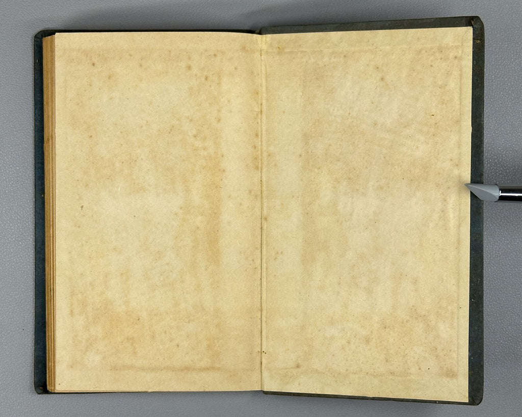 Blumenau Practical Guide to Prescribing Medicines 1927 Блюменау Лекарства Rare