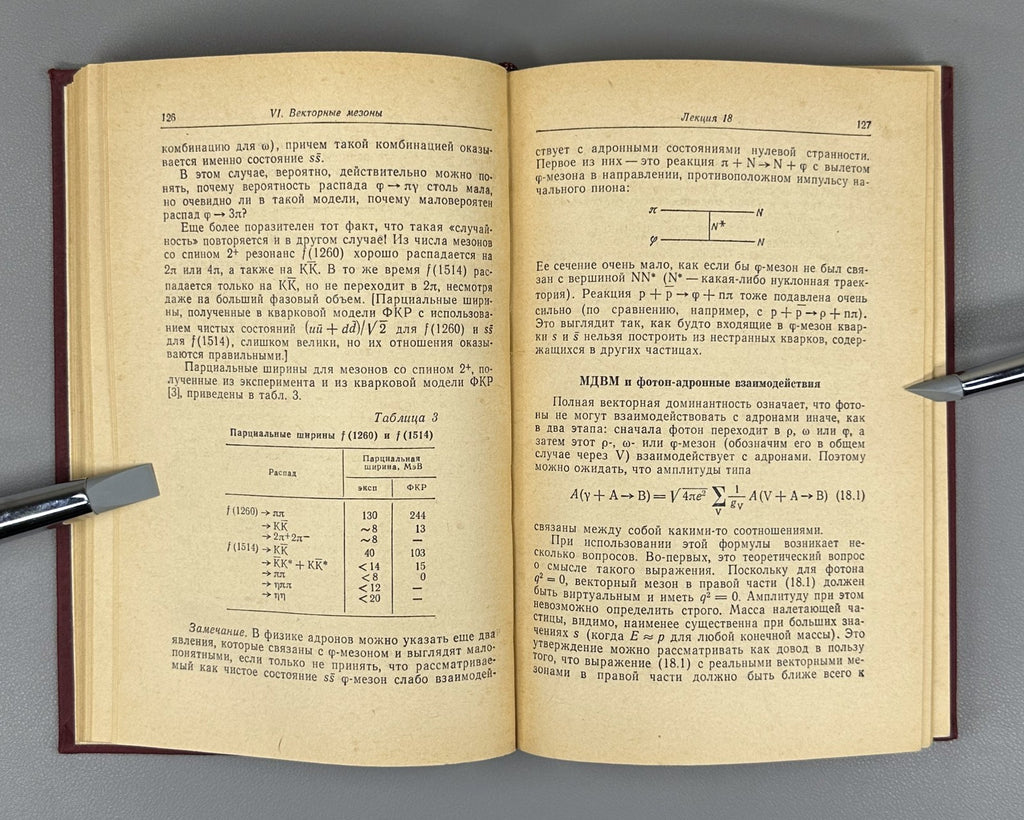 Фейнман Взаимодействие фотонов с адронами 1975 Feynman Photon-Hadron Interaction