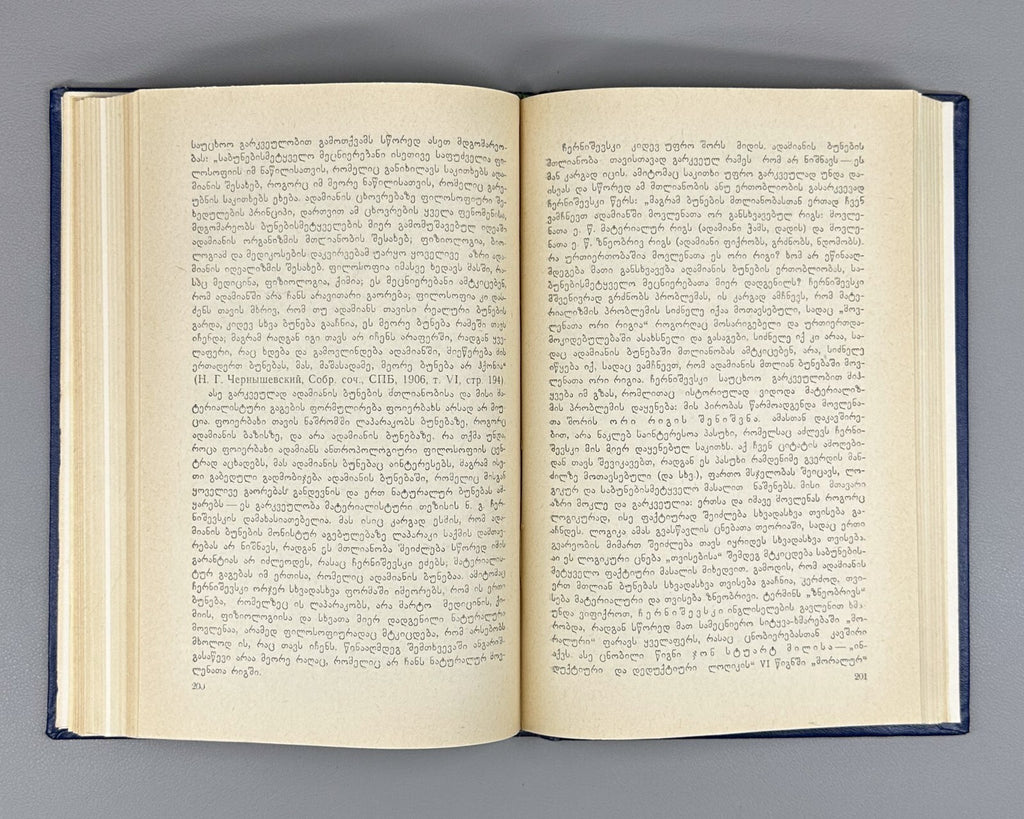 Shalva Nutsubidze Critical Essays Literature and Philosophy Georgian