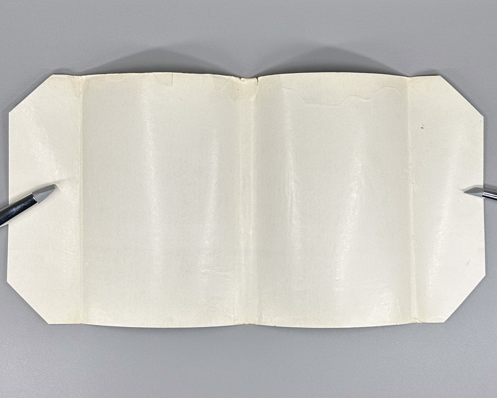 Bely Pepel Poems Dust jacket Russian 1929 Андрей Белый Пепел Стихи Rare