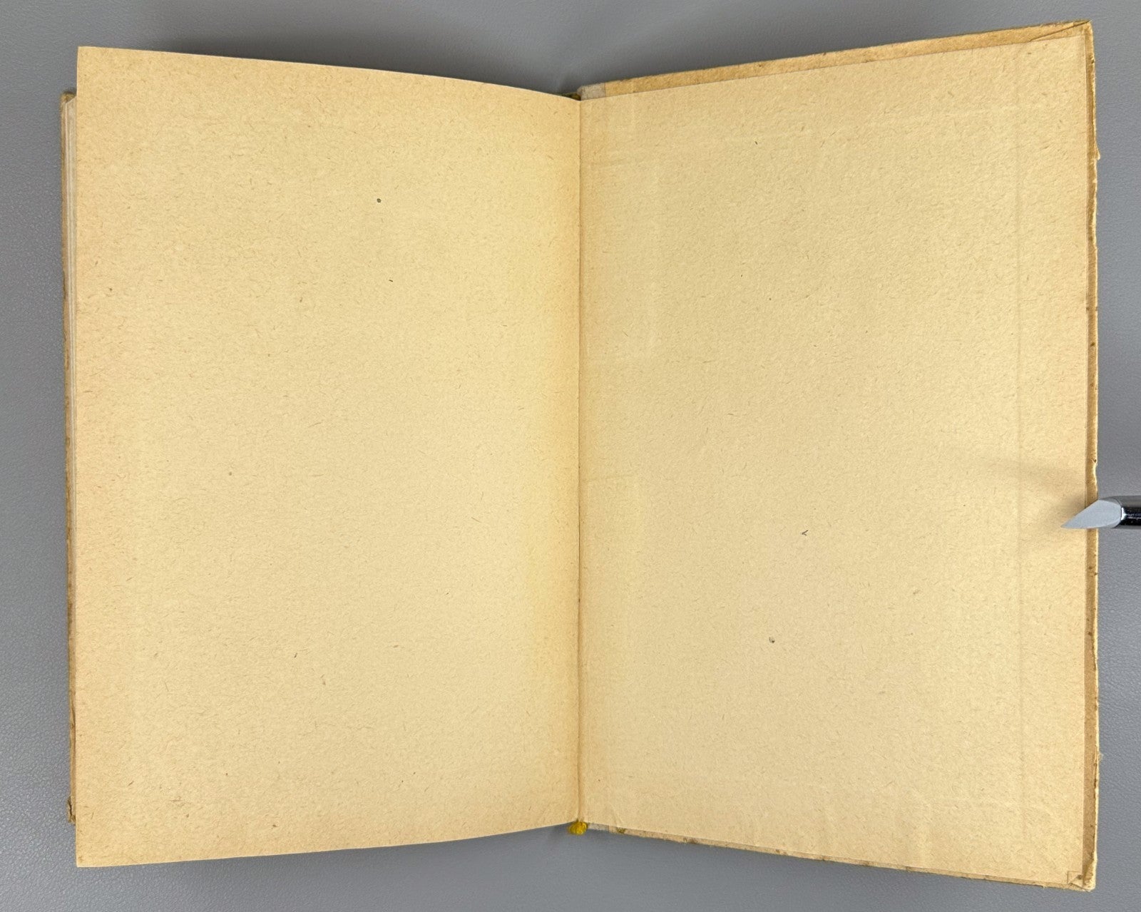 Signed Абшилава Трудящиеся Абхазской АССР в годы ВОВ 1960 Abshilava Abkhazia WW2