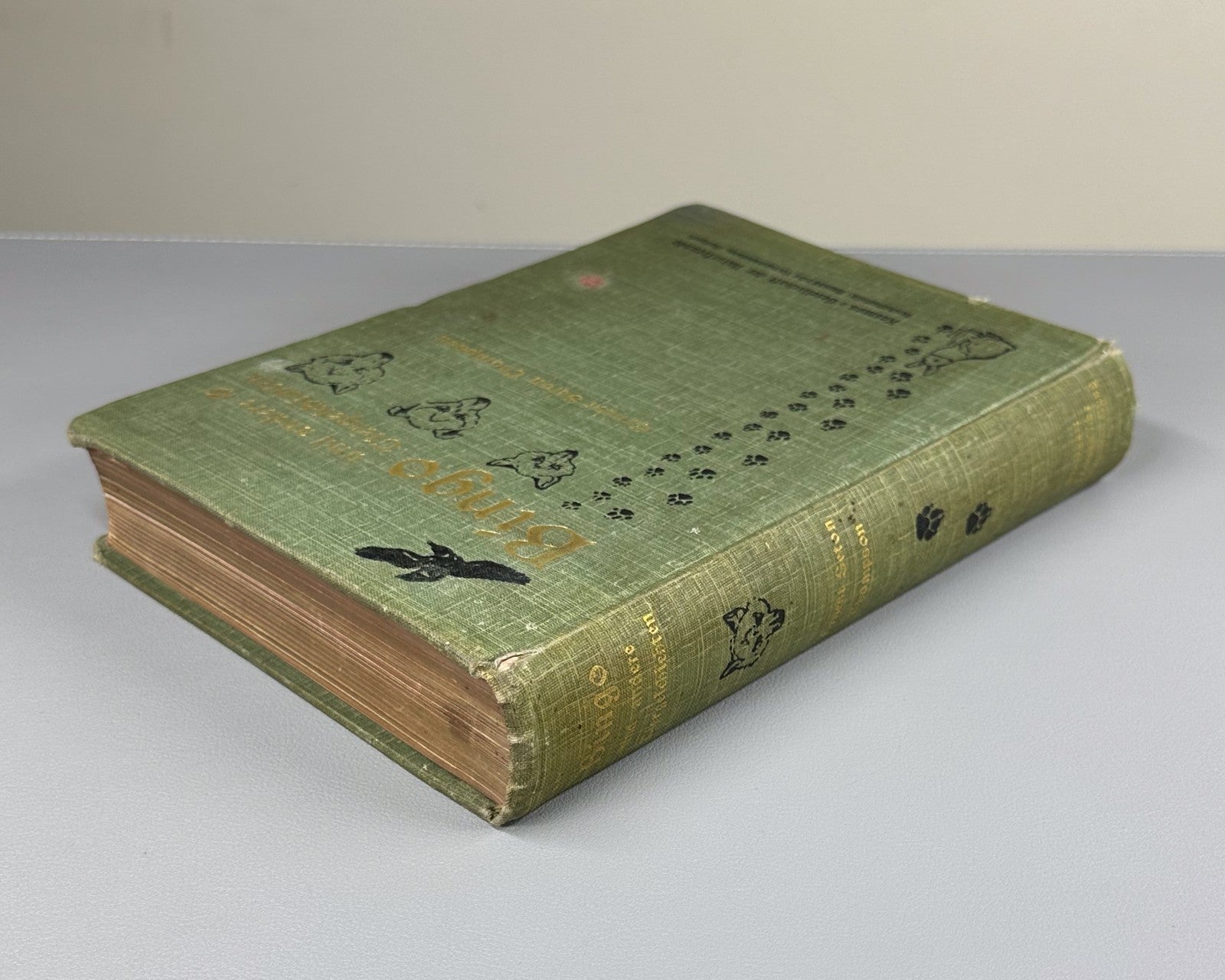 Ernest Thompson Seton Bingo und andere Tiergeschichten 1908 German Ninth edition
