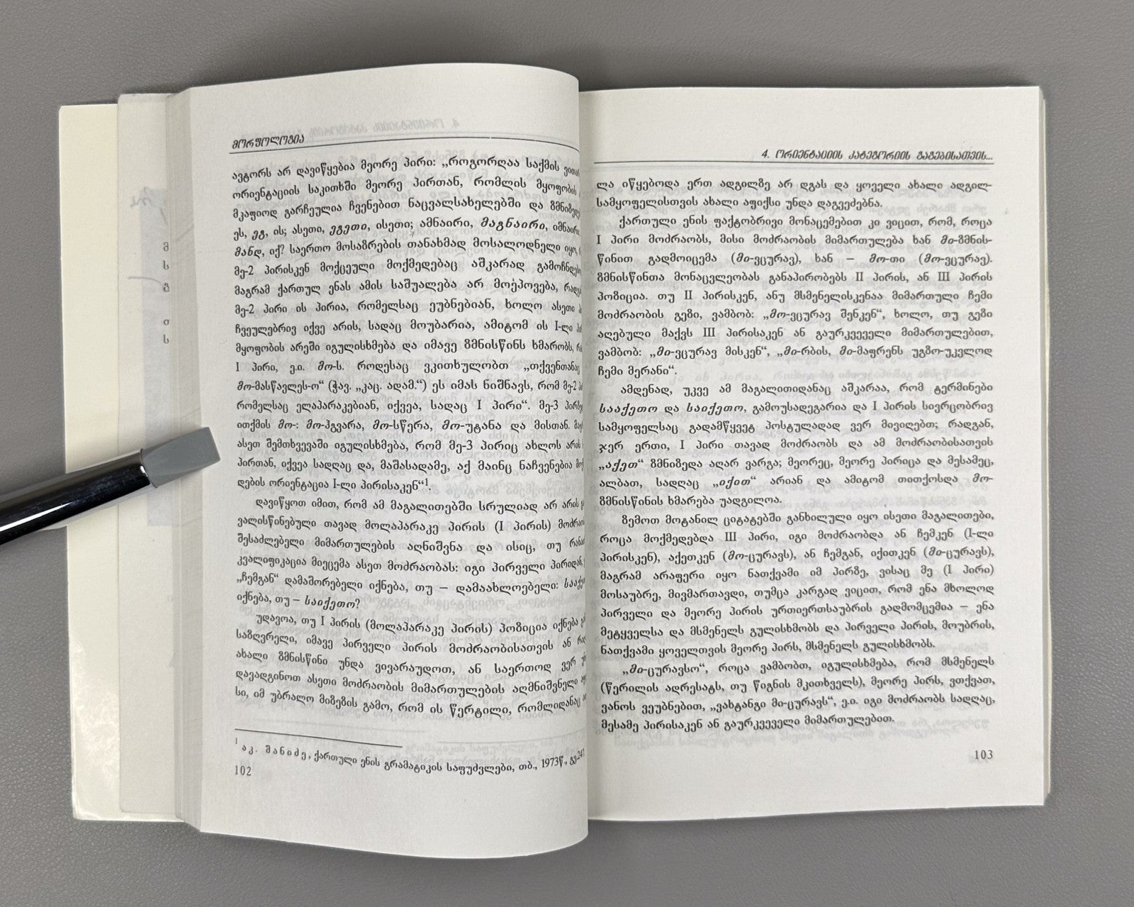 Fotskhishvili Georgian Language Linguistic and Extralinguistic Aspects 2000