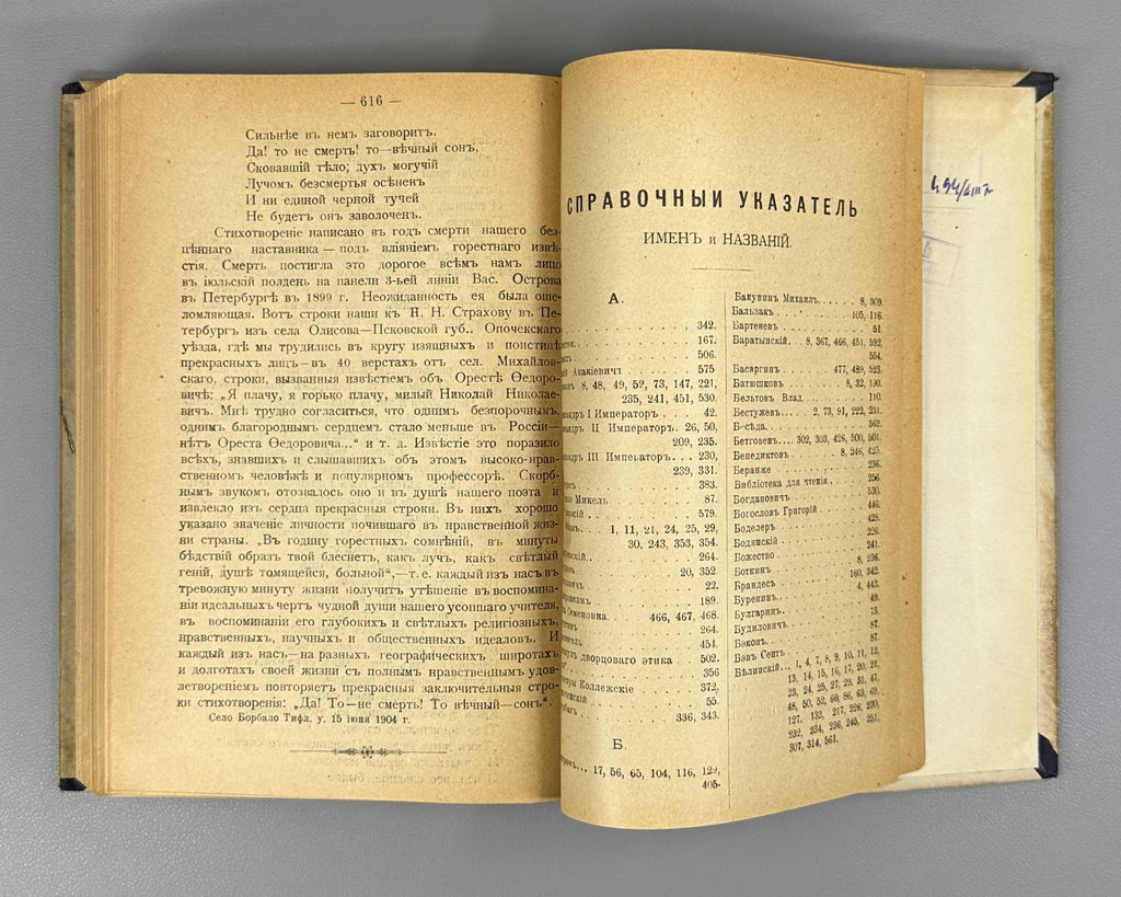Mikhailov Russian poetry 19th cent. 1904 Михайлов Очерки русской поэзии XIX в.