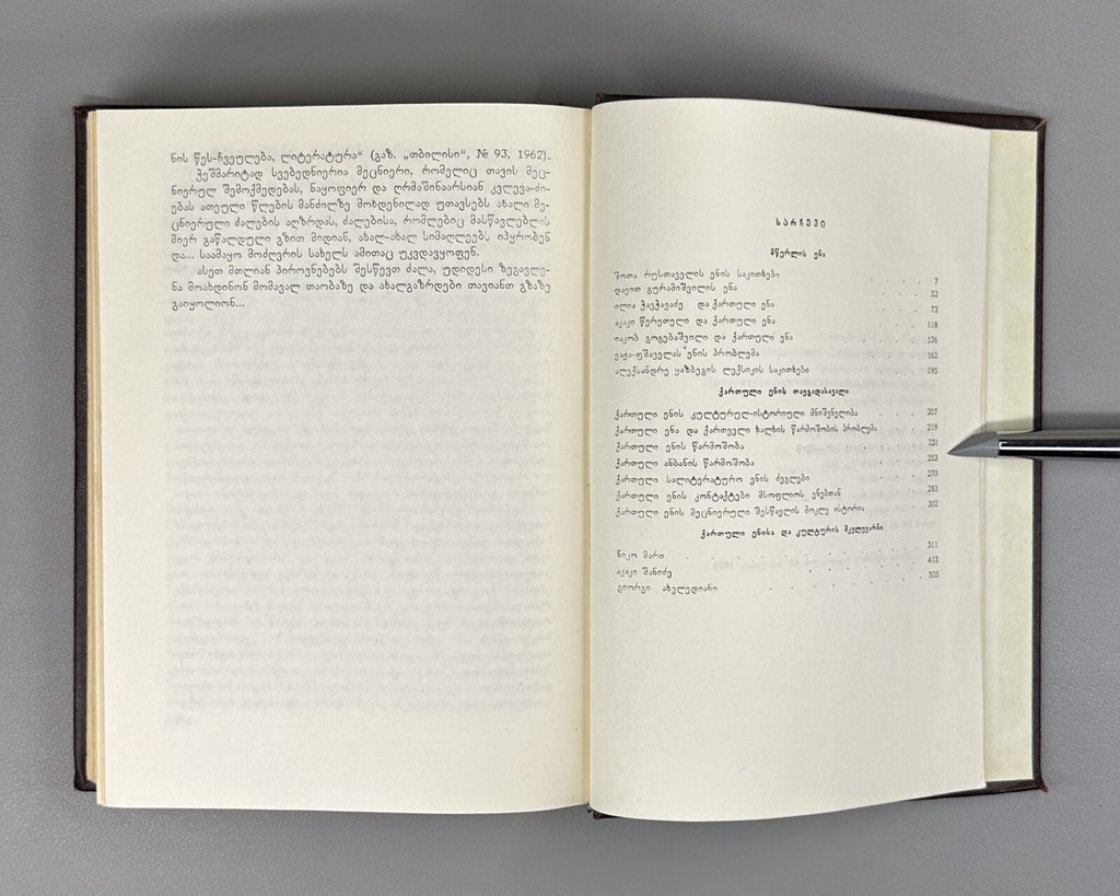 Shota Dzidziguri Literary and Linguistic Essays 1974 Georgian ძიძიგური
