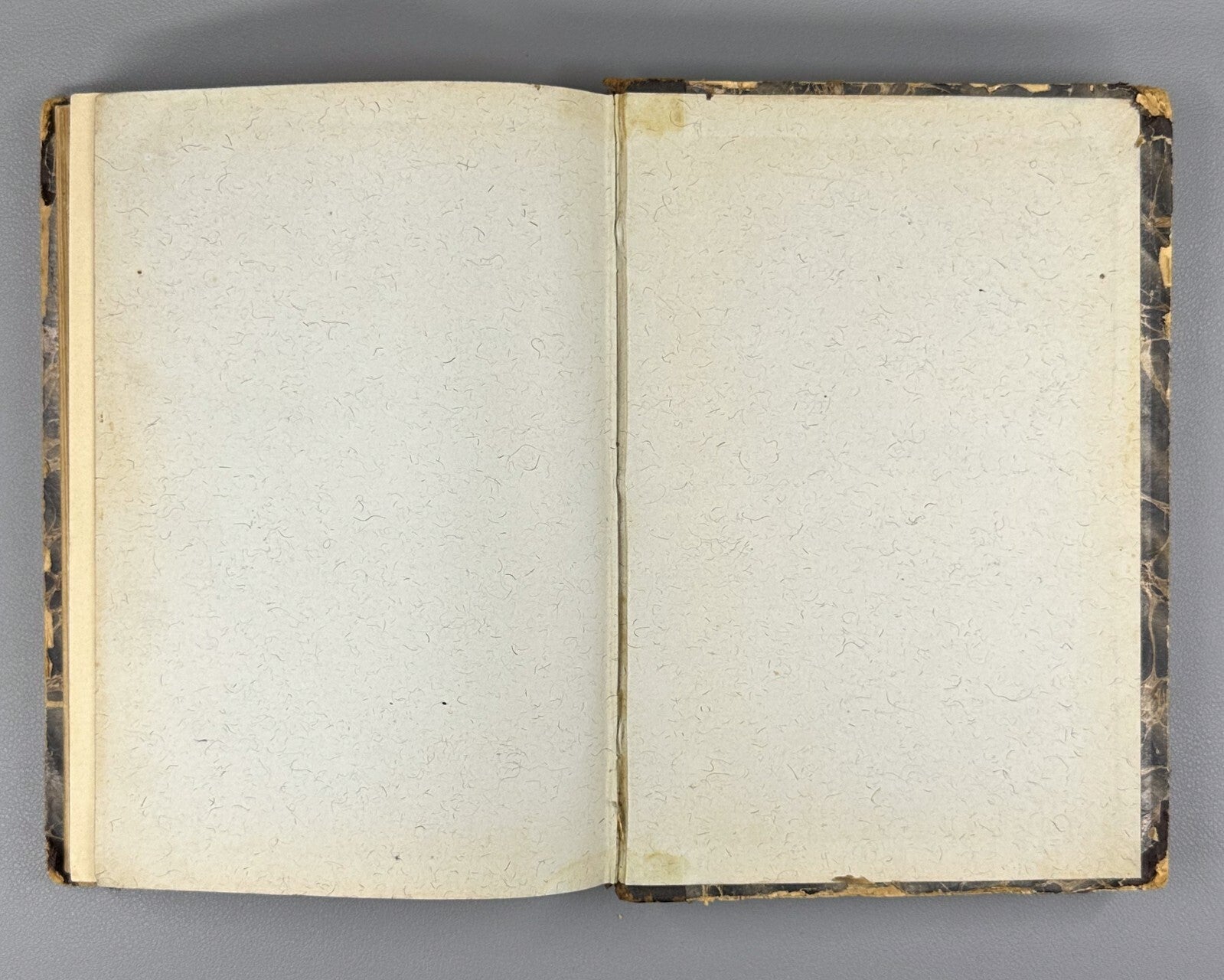 Karl Marx Convolute of five editions 1906 Маркс Классовая борьба Революция Rare