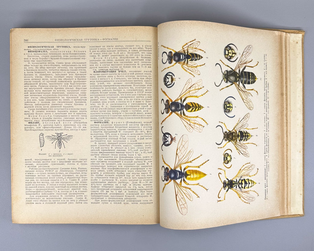 Абрикосов Словарь-справочник пчеловода 1955 Beekeeping Dictionary-Handbook USSR