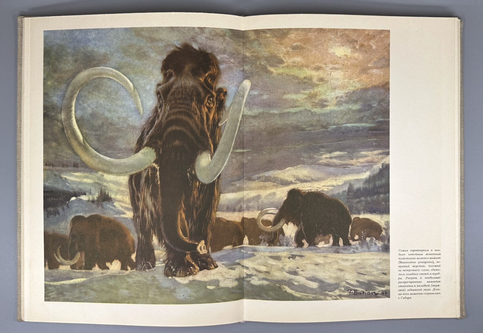 1st ed. Augusta Book about Mammoths 1962 Аугуста Книга о мамонтах Rare