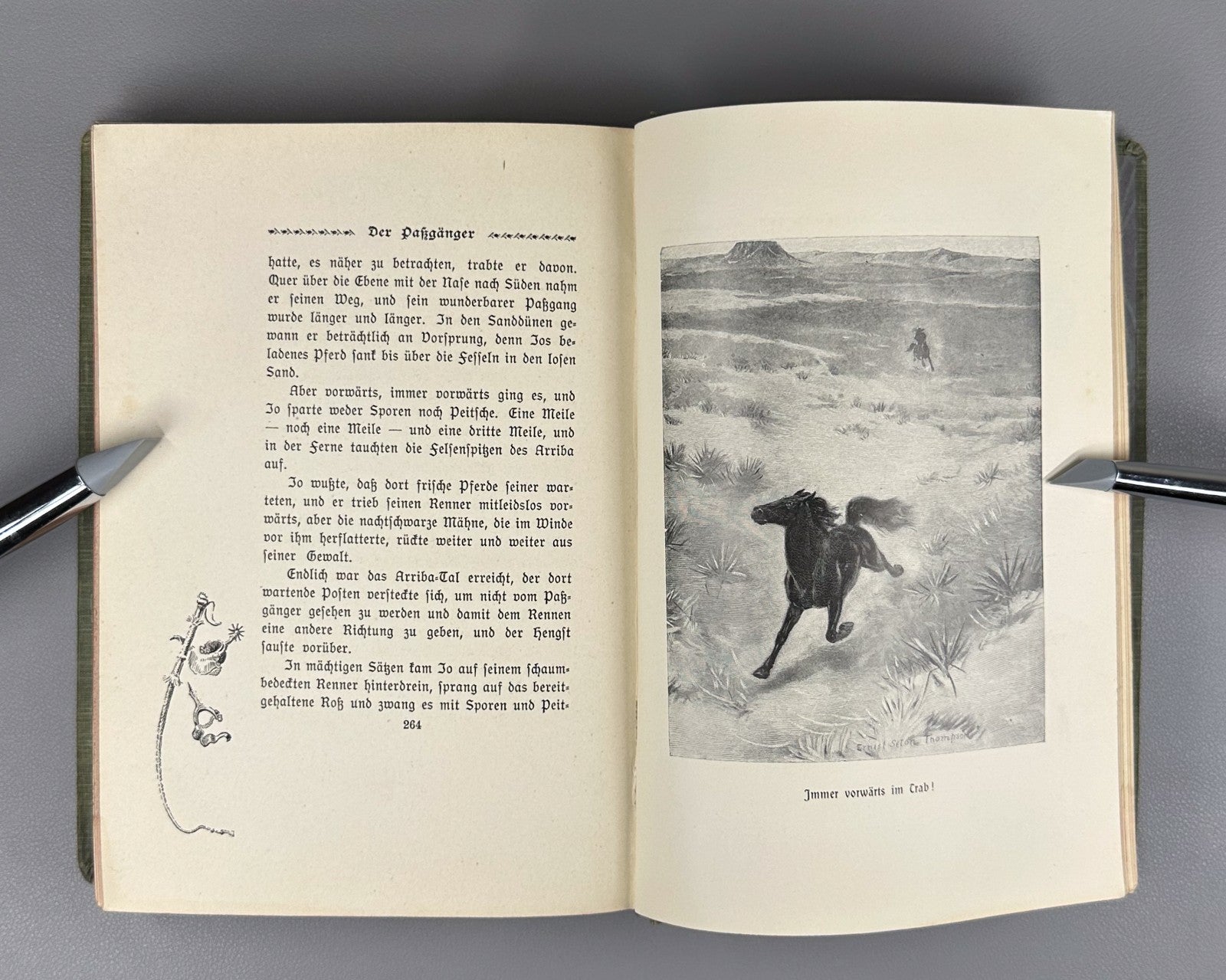Ernest Thompson Seton Bingo und andere Tiergeschichten 1908 German Ninth edition