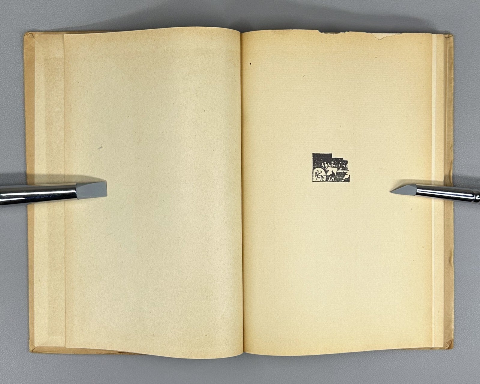 Bely Pepel Poems Dust jacket Russian 1929 Андрей Белый Пепел Стихи Rare