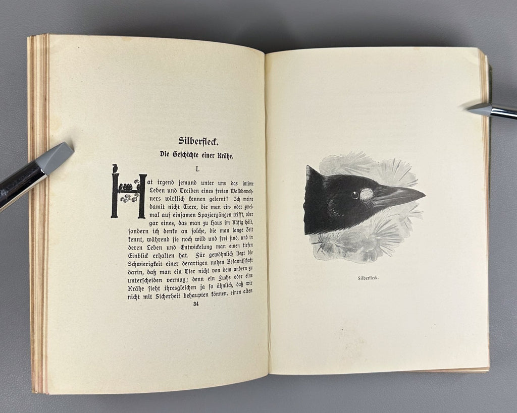 Ernest Thompson Seton Bingo und andere Tiergeschichten 1908 German Ninth edition