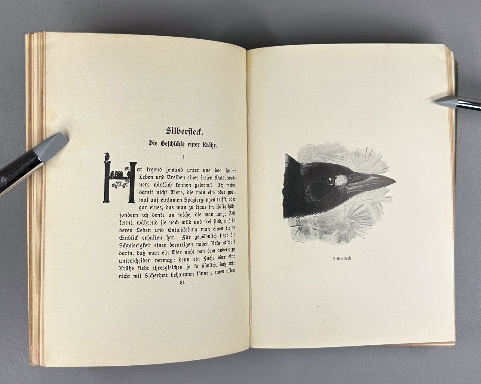 Ernest Thompson Seton Bingo und andere Tiergeschichten 1908 German Ninth edition