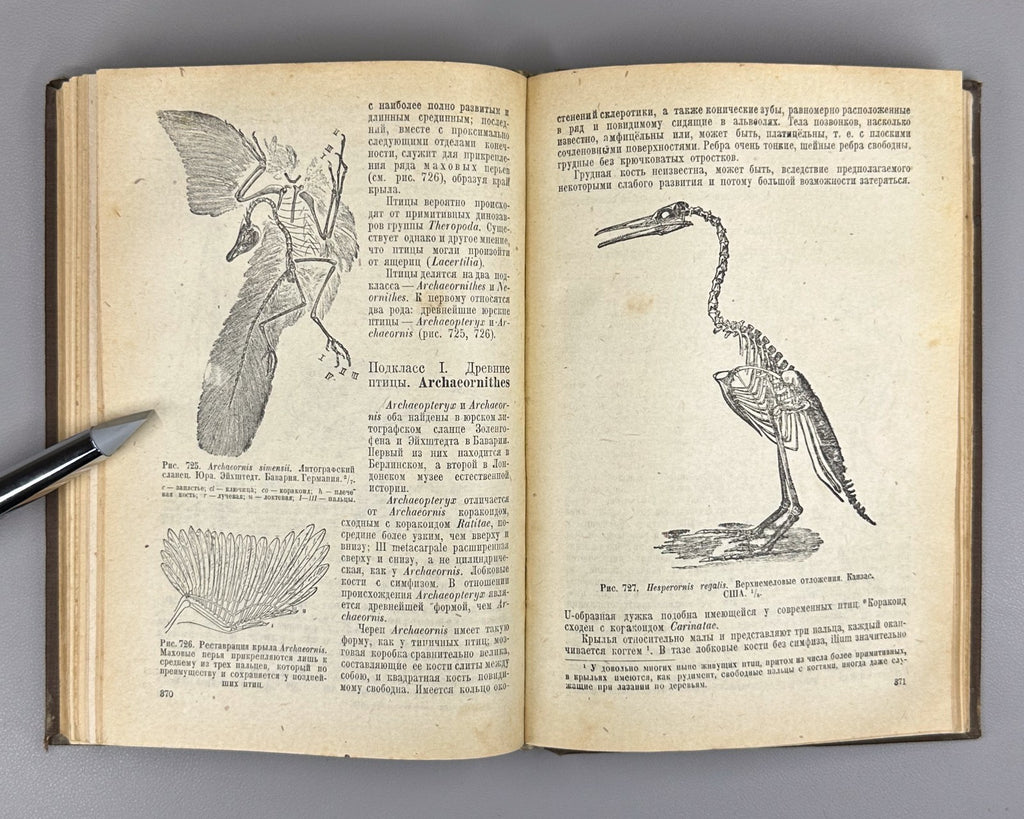 Яковлев Учебник палеонтологии 1937 Yakovlev Paleontology Textbook Soviet Russian