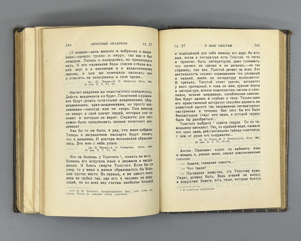 Academia Chekhov Literary life 1928 Чехов Литературный быт и творчество Фейдер