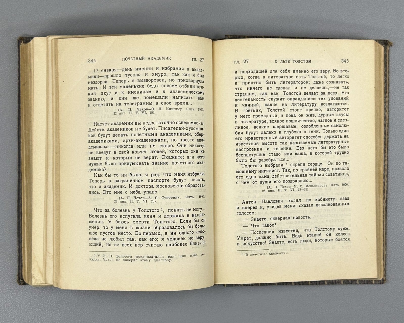 Academia Chekhov Literary life 1928 Чехов Литературный быт и творчество Фейдер