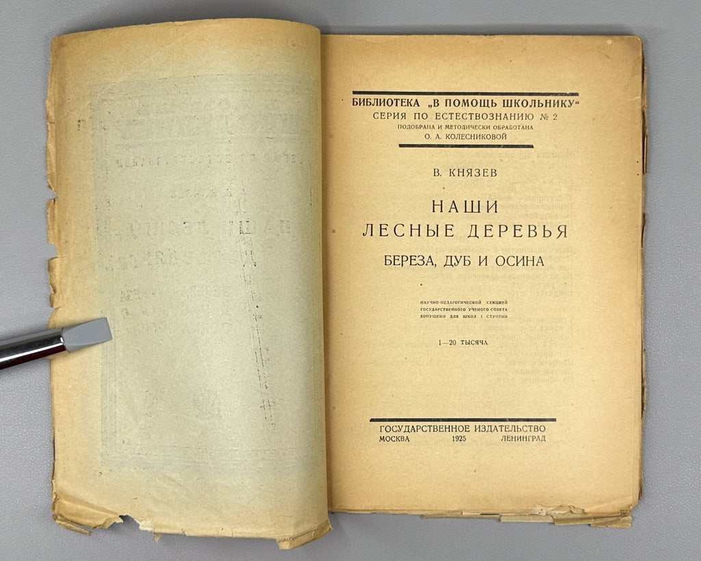 Our forest trees Russian textbook 1925 Князев Наши лесные деревья Естествознание