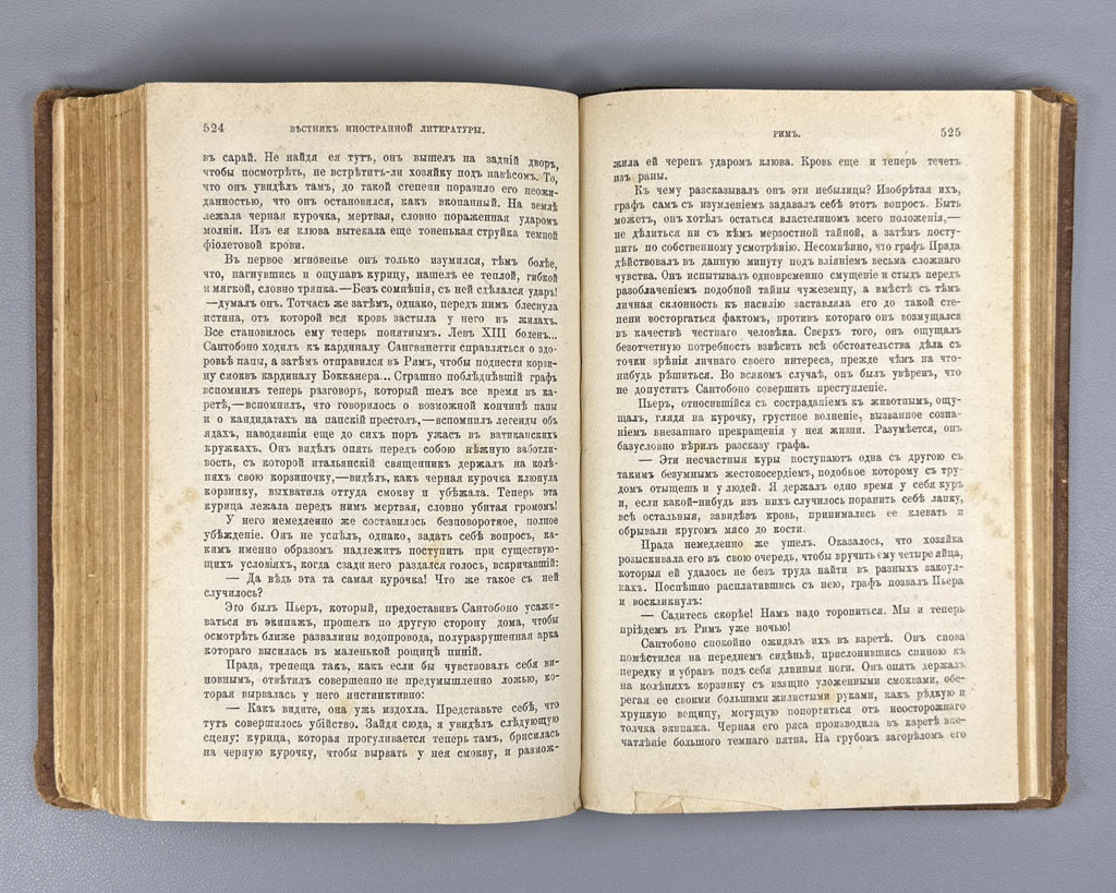 Золя Рим 1896 Émile Zola Rome Ранцов Russian Типография бр. Пантелеевых Lifetime