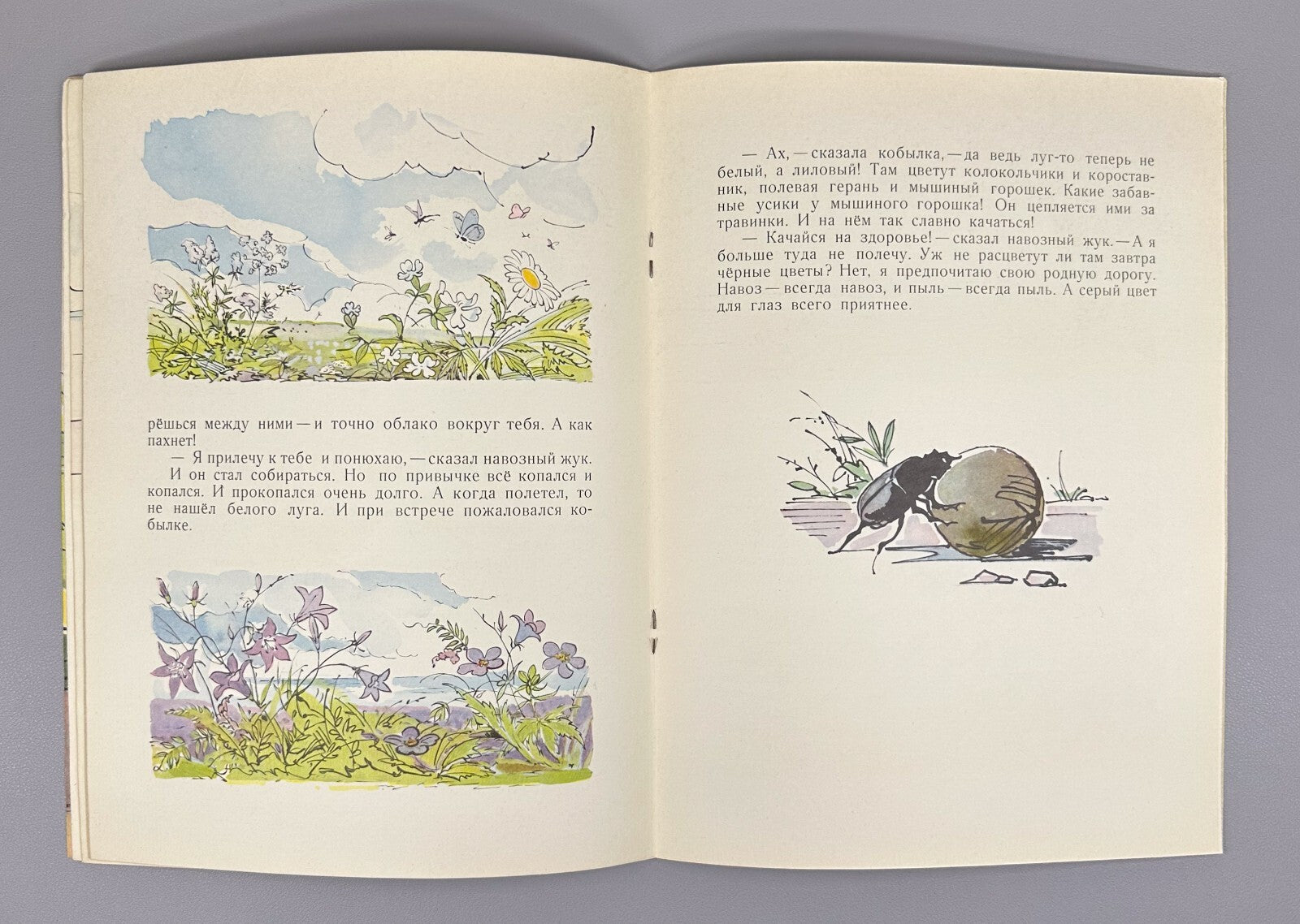 Pavlova Yellow white purple 1966 Children’s book Павлова Желтый, белый, лиловый
