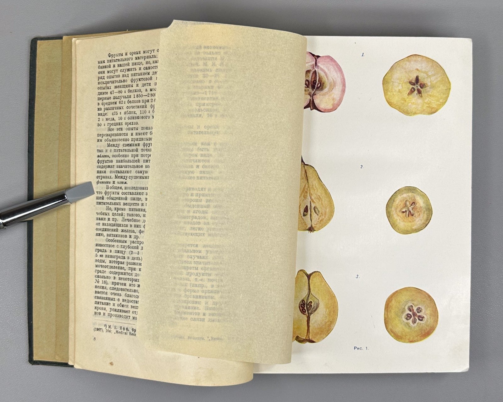 1st ed. Fruits & Vegetables 1930 Церевитинов Химия и товароведение Плоды Овощи