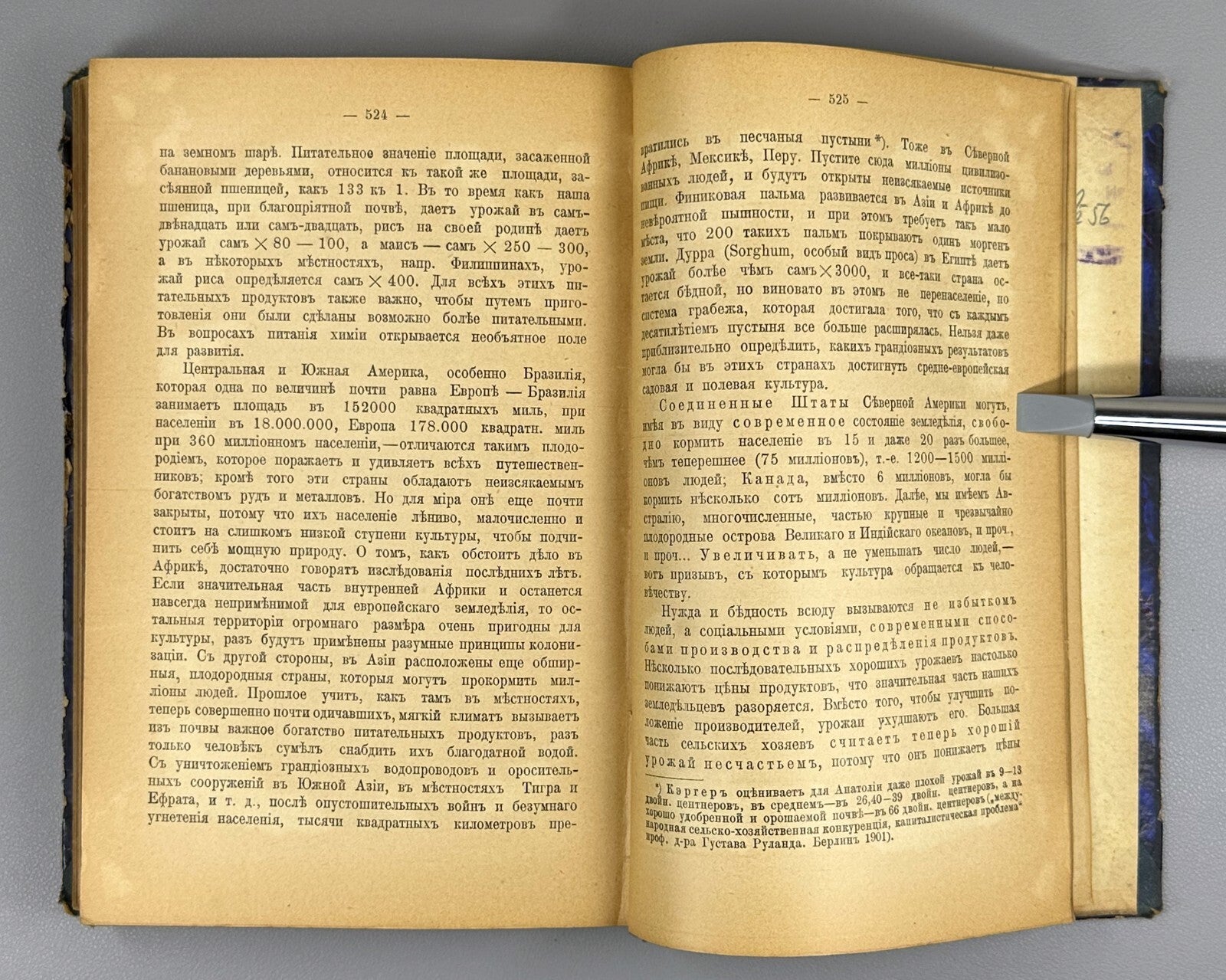 Bebel Woman and Socialism Marxist literature 1906 Бебель Женщина и социализм