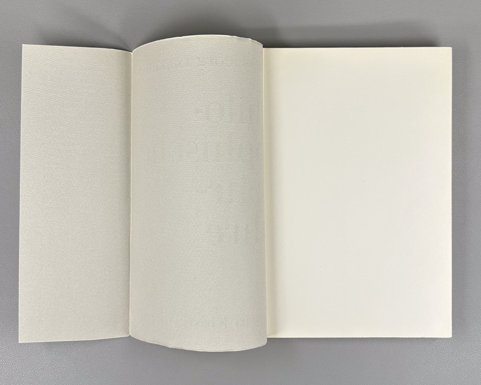 Hans-Georg Gadamer. Philosophische Lehrjahre. Eine Rückschau 1977 1st ed. German