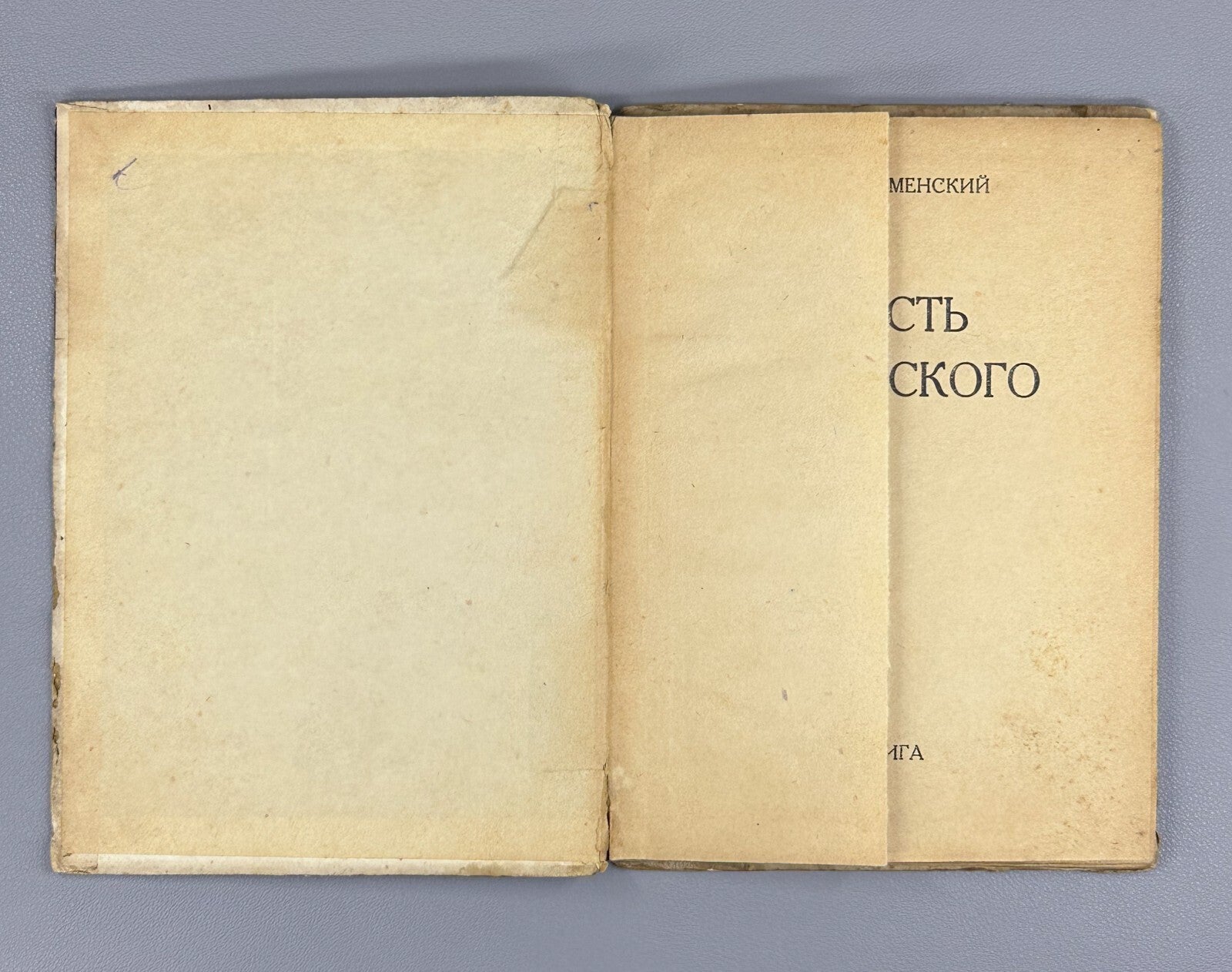 Vasily Kamensky Mayakovsky's Youth LEF 1931 Каменский Юность Маяковского ЛЕФ