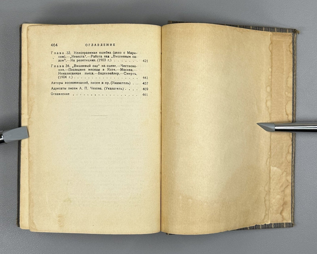 Academia Chekhov Literary life 1928 Чехов Литературный быт и творчество Фейдер