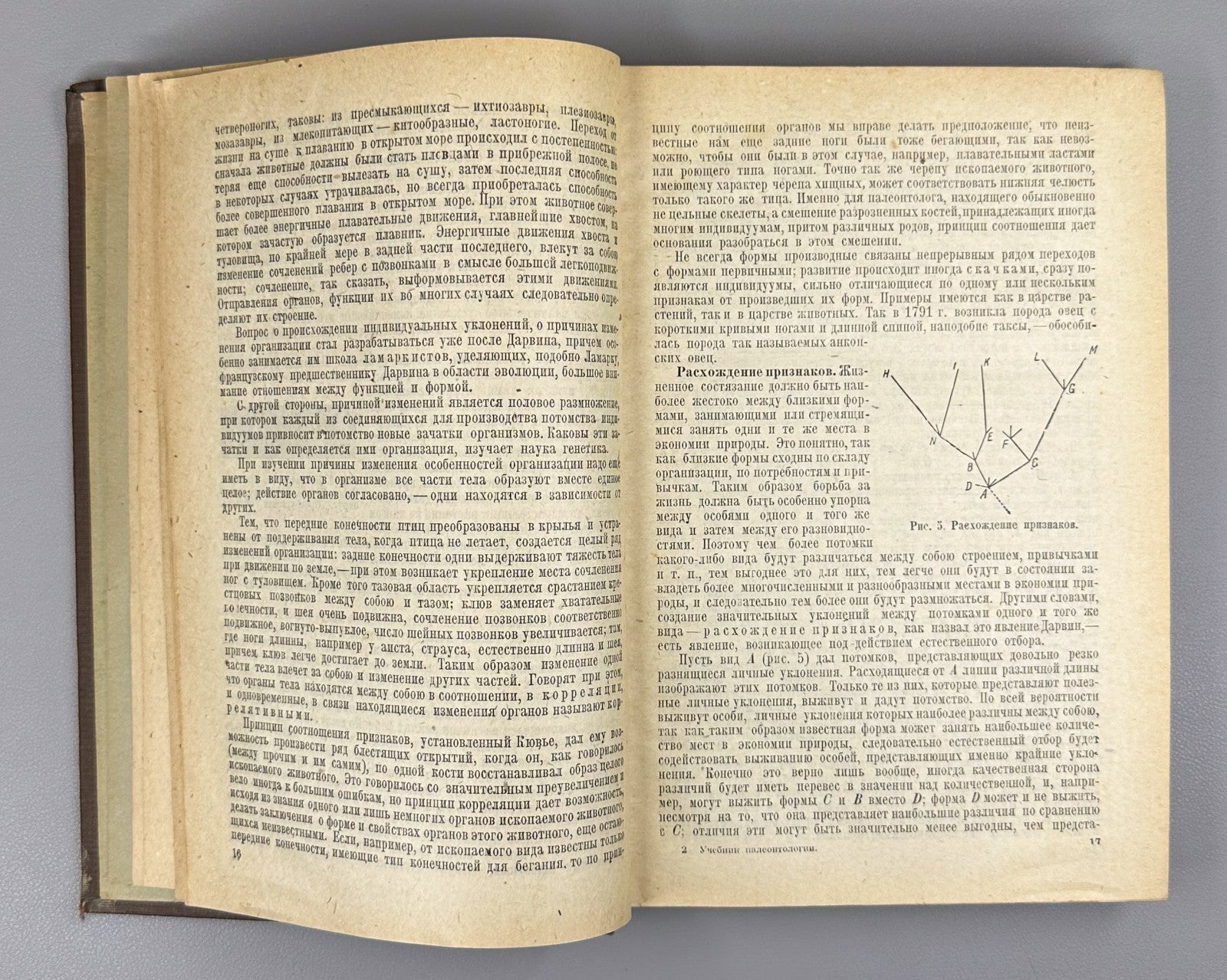 Яковлев Учебник палеонтологии 1937 Yakovlev Paleontology Textbook Soviet Russian