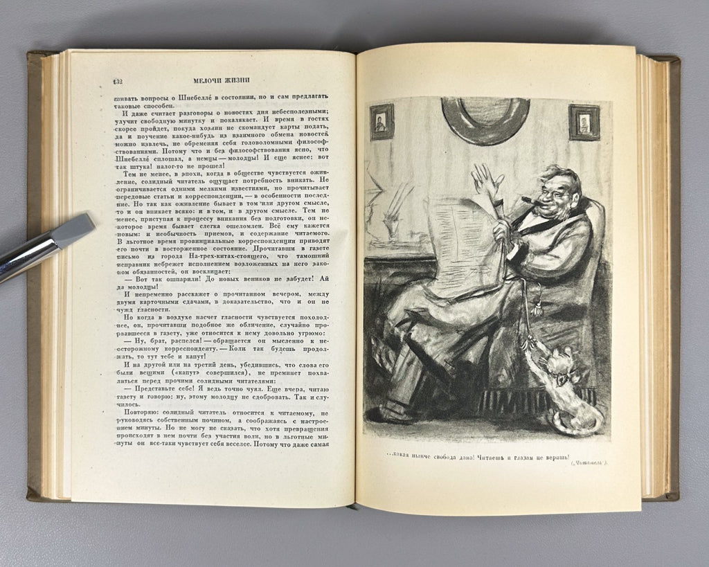 Shchedrin The Little Things in Life 1939 Щедрин Салтыков-Щедрин Мелочи жизни