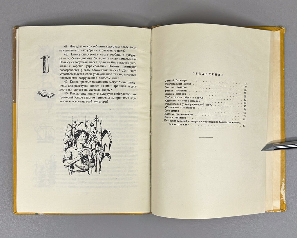 Гришин История початка и ее продолжение 1956 Grishin The History of the Corncob