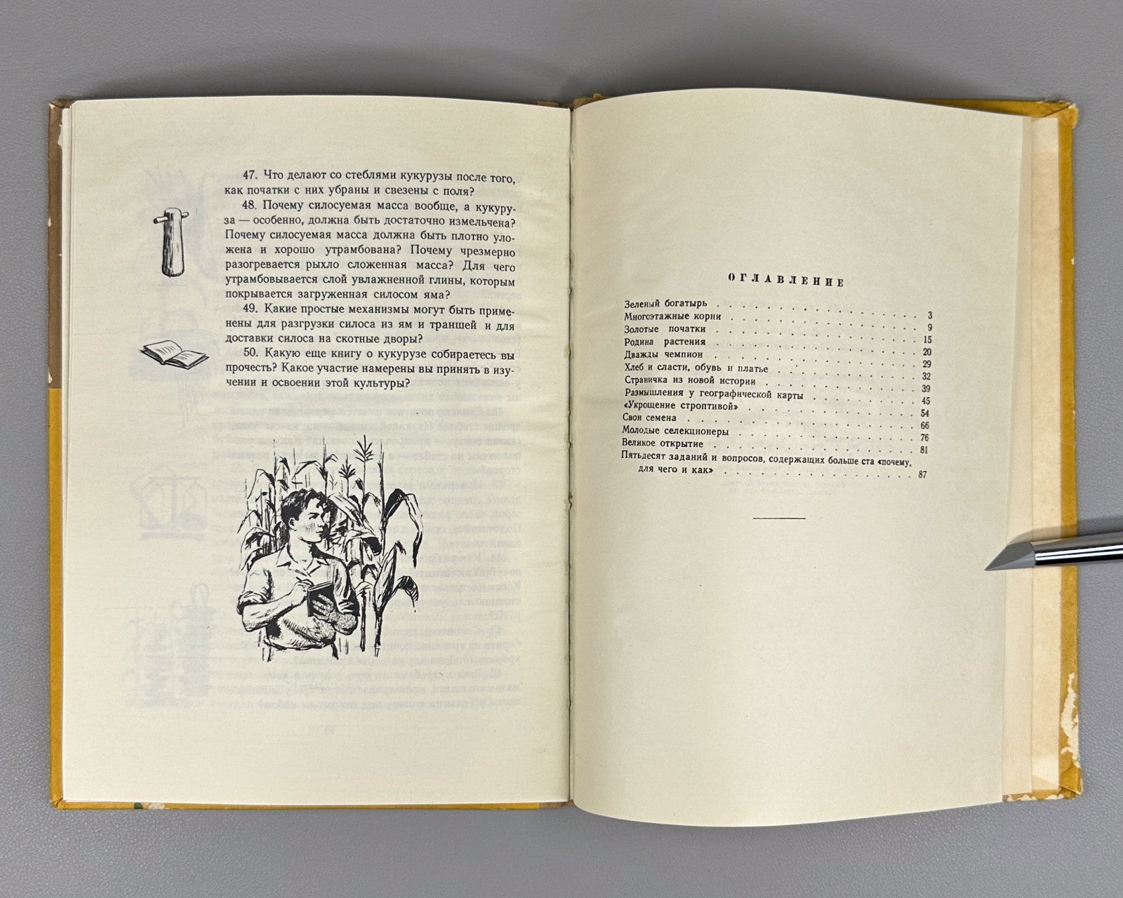 Гришин История початка и ее продолжение 1956 Grishin The History of the Corncob