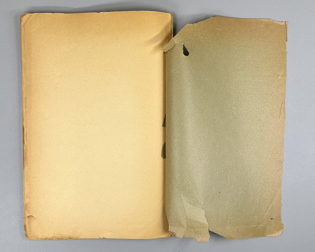 1st ed. Dembo Land structure of the East 1927 Дембо Земельный строй востока Rare