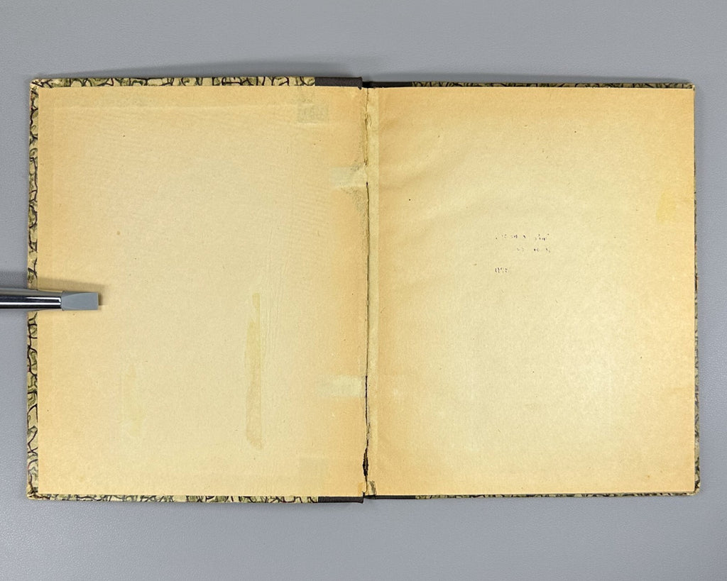 The Tale of Igor's Campaign reprint from 1st ed. 1920 Слово о полку Игореве