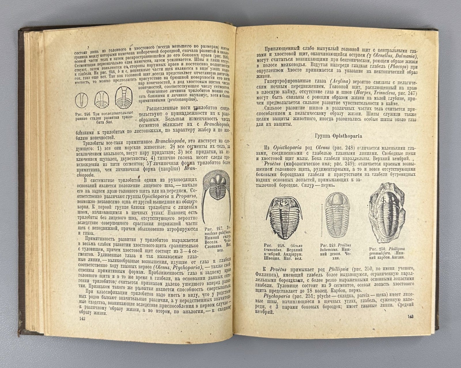 Яковлев Учебник палеонтологии 1937 Yakovlev Paleontology Textbook Soviet Russian
