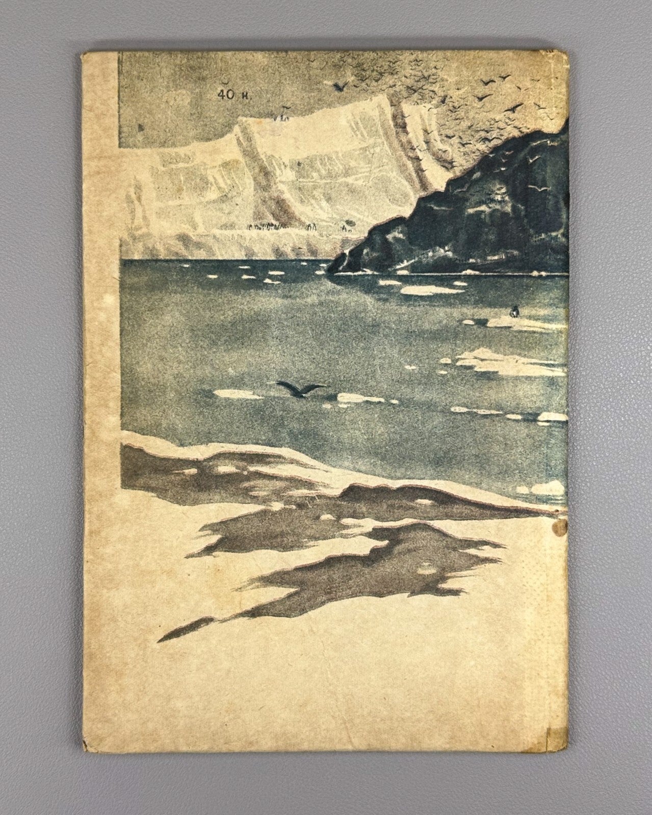 Lebedev Arkhangelsk Robinsons 1935 Лебедев Архангельские робинзоны