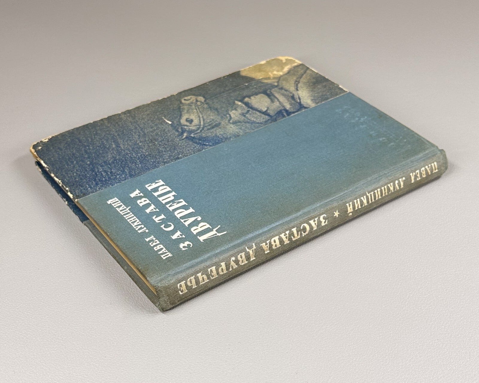 1st ed. Luknitsky Zastava Dvurechye 1940 Лукницкий Застава Двуречье Сталинабад