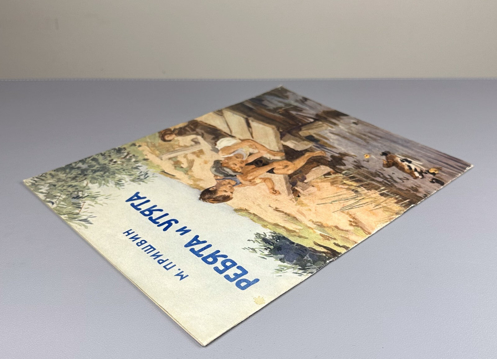 Prishvin Children & Ducklings USSR Children’s book  1956 Пришвин Ребята и утята