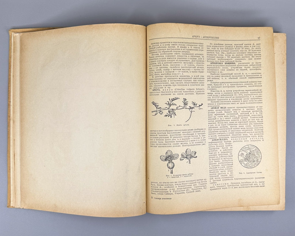 Абрикосов Словарь-справочник пчеловода 1955 Beekeeping Dictionary-Handbook USSR